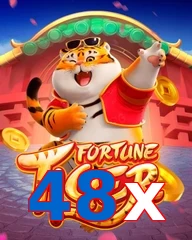 48x